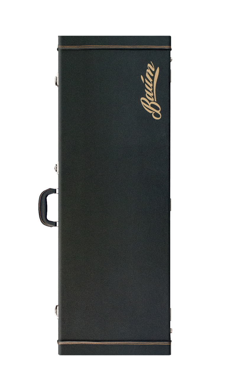 Guitar Case